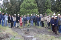 Término Proyecto Reforestación Humedal Huachipato